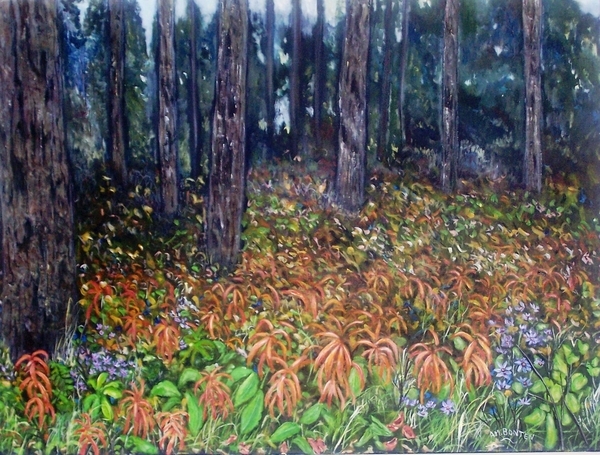 Autumn Woods